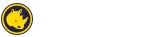 Spinorhino